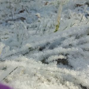 Meet your Posher, Michaela